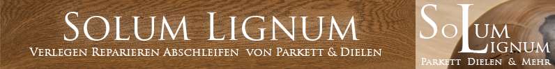 Originaler Solum-Lignum-Schriftzug auf Holzmaserung aus meiner Selbstständigkeit